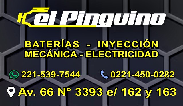 El Pingüino